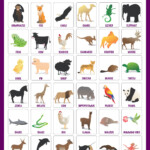10 Best Free Printable Animal Flash Cards Printablee
