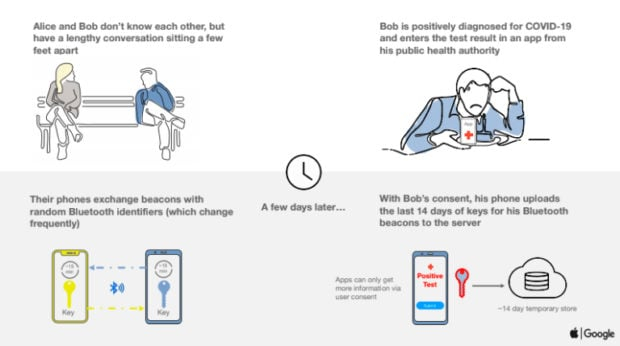 Apple Google Share Screenshots Of What COVID 19 Contact tracing Tool 