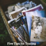 Five Tips For Tracing Your Family History Metropolitan Organizing