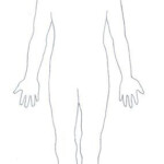 Human Body Diagram Contour Human Body Diagram Body Diagram Human