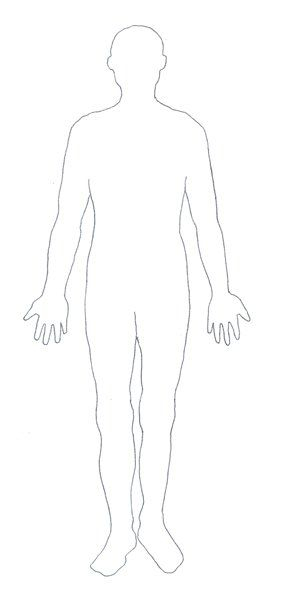 Human Body Diagram Contour Human Body Diagram Body Diagram Human