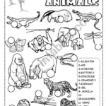 Worksheet Forest Animal Tracing Name Tracing Generator Free In The